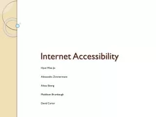 Internet Accessibility