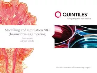Modelling and simulation SIG (brainstorming) meeting