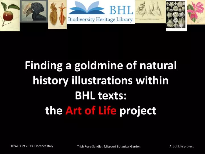 finding a goldmine of natural history illustrations within bhl texts the art of life project