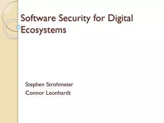 Software Security for Digital Ecosystems