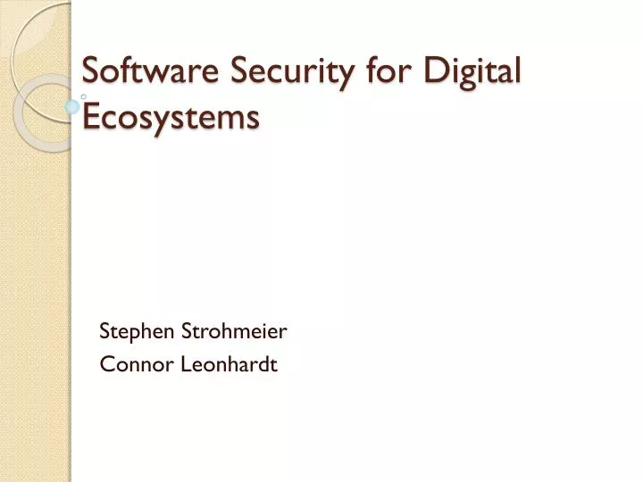 software security for digital ecosystems
