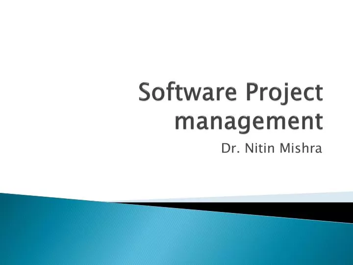 software project management