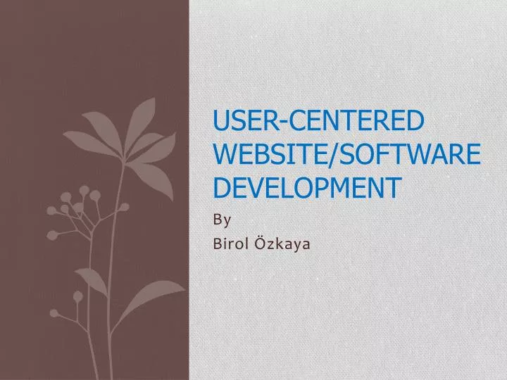 user centered website software development