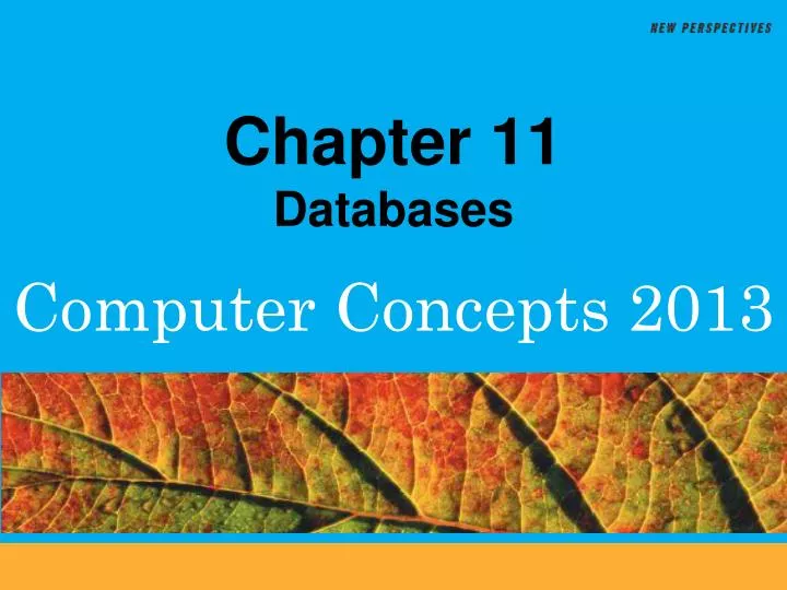 chapter 11 databases
