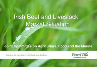 Irish Beef and Livestock Market Situation