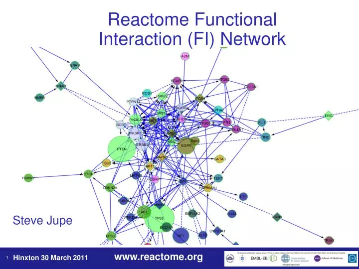 reactome functional interaction fi network