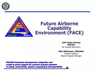 Future Airborne Capability Environment (FACE)
