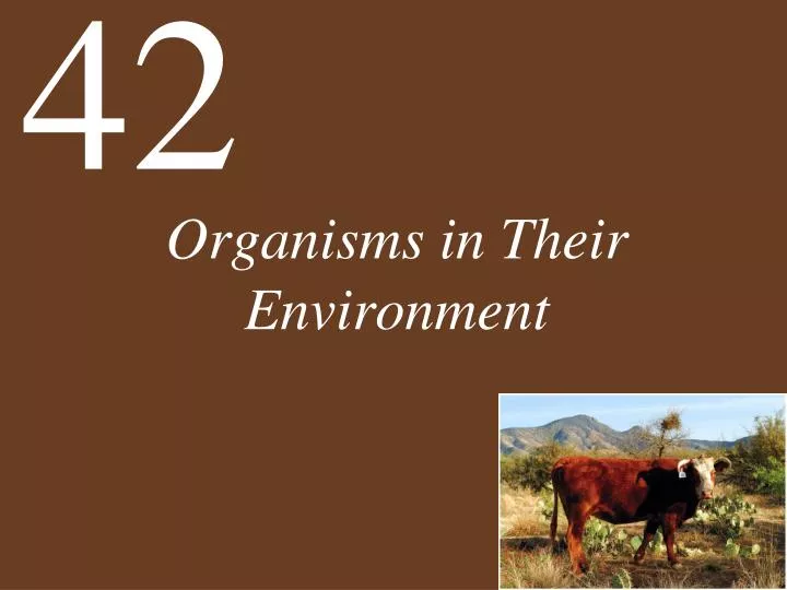 organisms in their environment