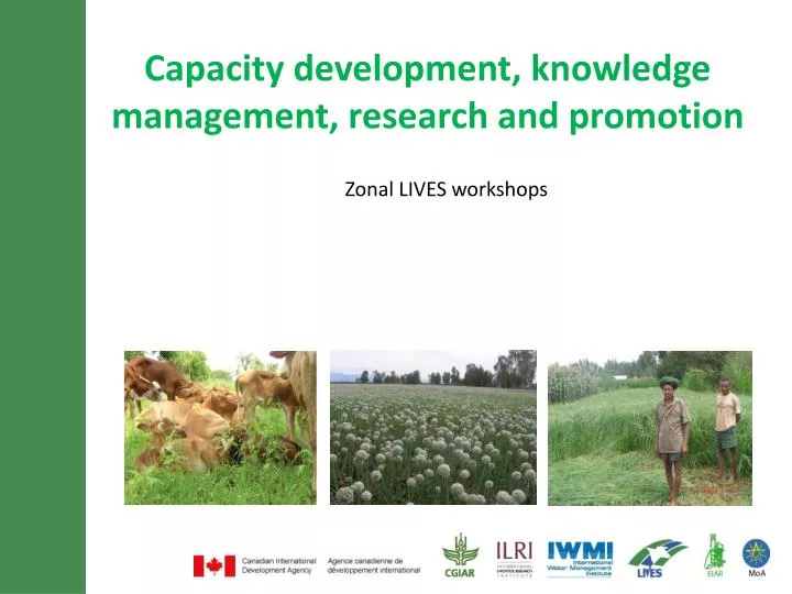 capacity development knowledge management research and promotion