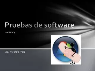 pruebas de software