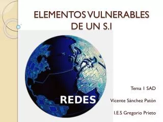 elementos vulnerables de un s i