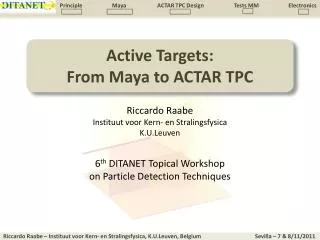 Active Targets: From Maya to ACTAR TPC