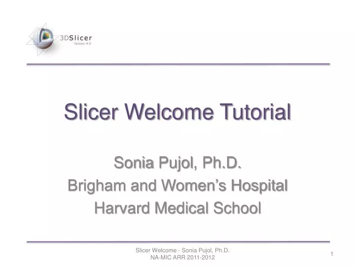 slicer welcome tutorial