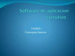 Software de aplicacion ejecutivo