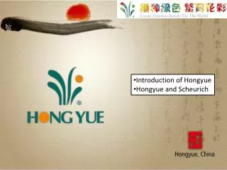 Introduction of Hongyue Hongyue and Scheurich