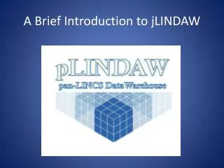A Brief Introduction to jLINDAW