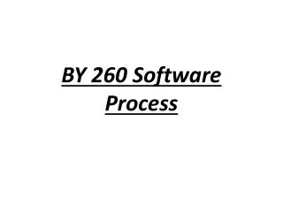 BY 260 Software Process