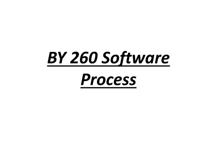 by 260 software process