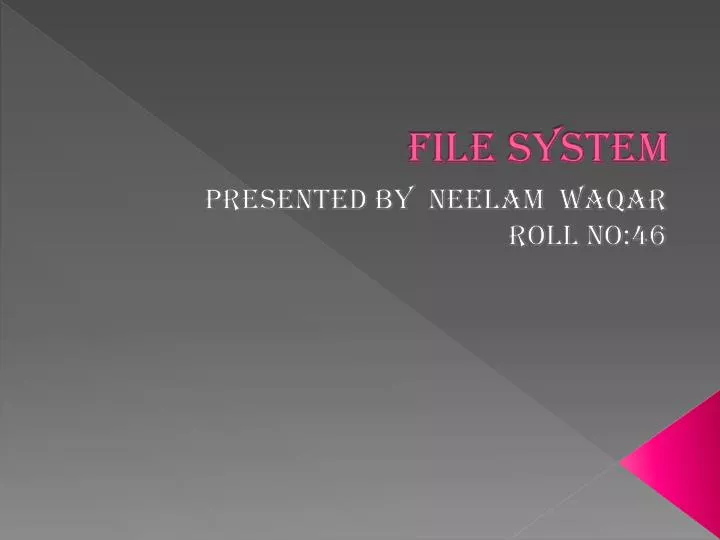 file system