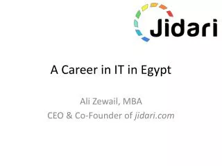 A Career in IT in Egypt