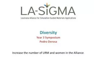 Diversity Year 3 Symposium Pedro Derosa Increase the number of URM and women in the Alliance .