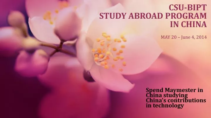 csu bipt study abroad program in china may 20 june 4 2014