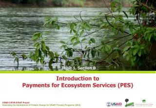 Introduction to Payments for Ecosystem Services (PES)