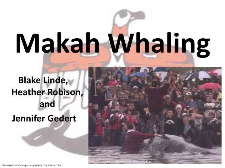 makah whaling