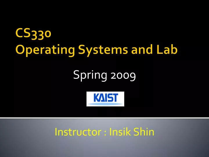 spring 2009 instructor insik shin