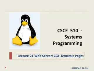 CSCE 510 - Systems Programming