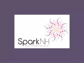 Spark NH