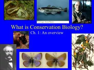 What is Conservation Biology?