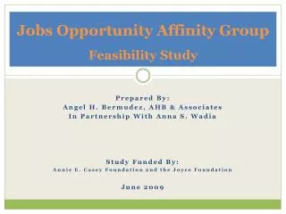 Jobs Opportunity Affinity Group Feasibility Study