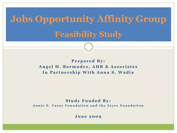 jobs opportunity affinity group feasibility study