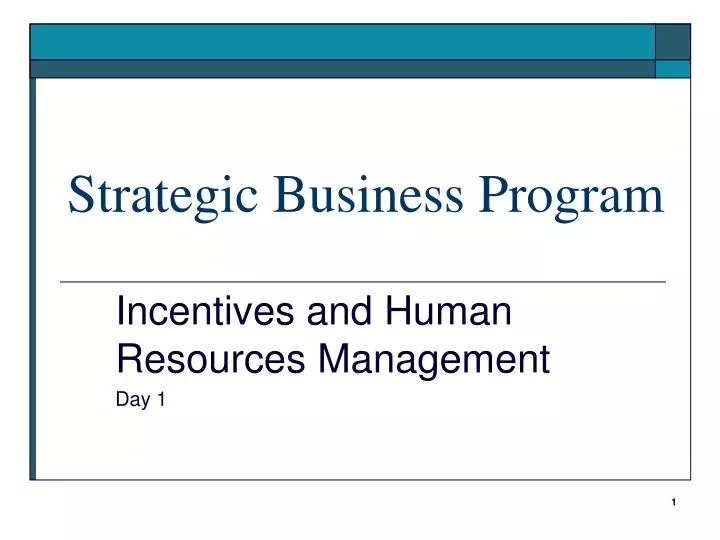 strategic business program