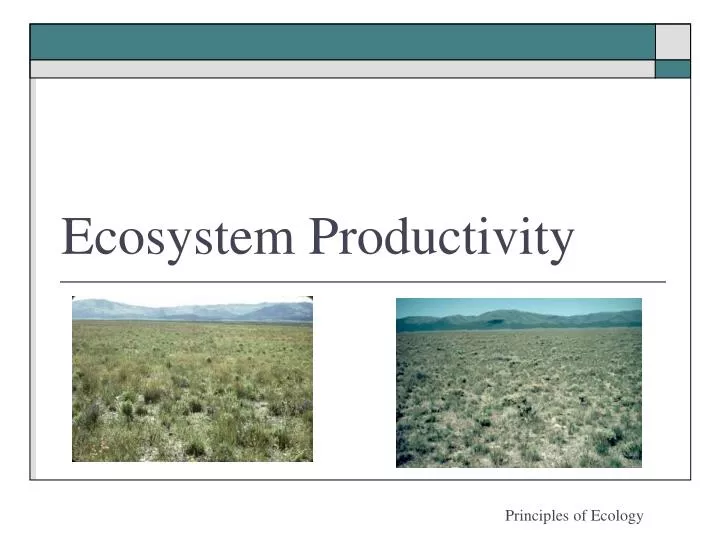 ecosystem productivity