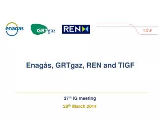 27 th I G meeting 28 th March 2014
