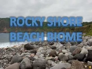 Rocky Shore Beach Biome