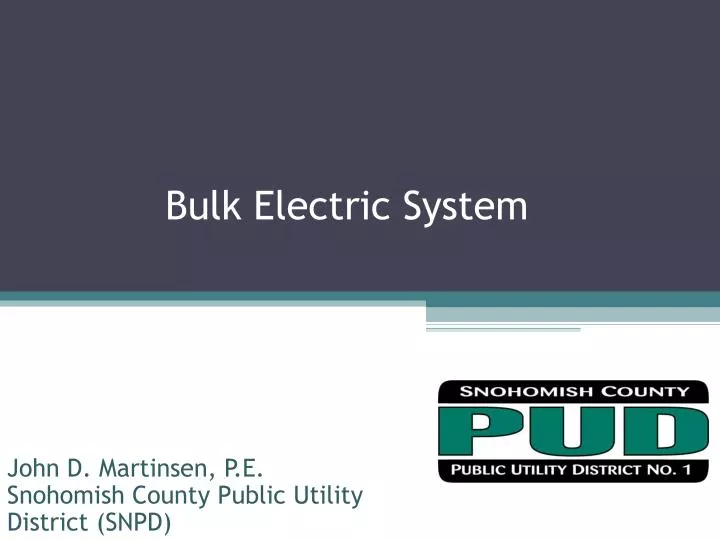 bulk electric system