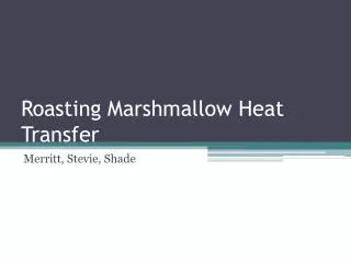 Roasting Marshmallow Heat Transfer