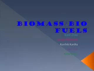 Biomass/Bio Fuels