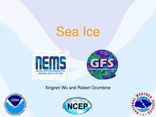 Sea Ice