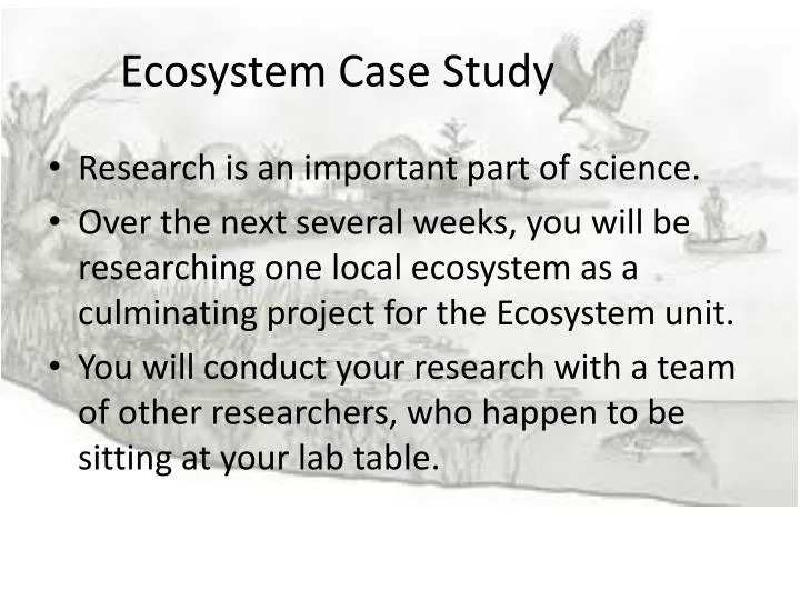 ecosystem case study