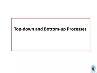 Top-down and Bottom-up Processes