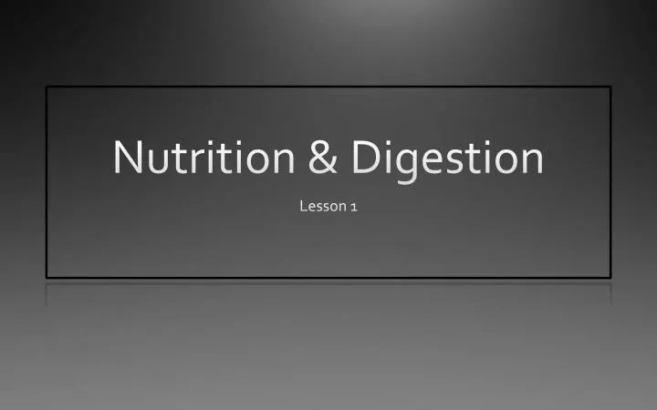 nutrition digestion