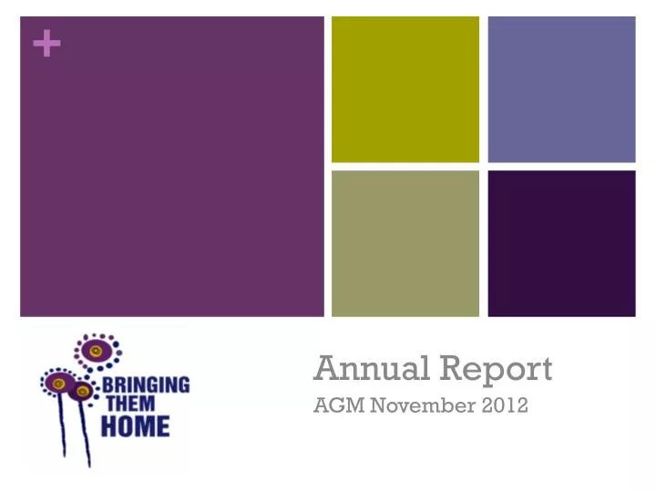 annual report agm november 2012