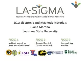 SD1: Electronic and Magnetic Materials Juana Moreno Louisiana State University
