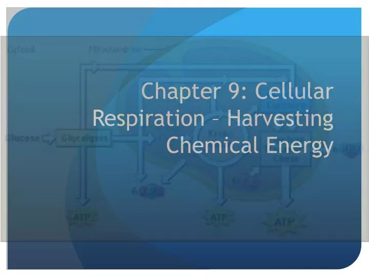 chapter 9 cellular respiration harvesting chemical energy