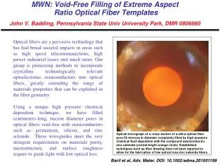 MWN : Void-Free Filling of Extreme Aspect Ratio Optical Fiber Templates John V. Badding, Pennsylvania State Univ Univ
