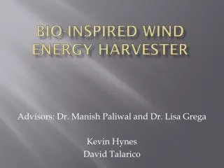 Bio-Inspired wind energy harvester